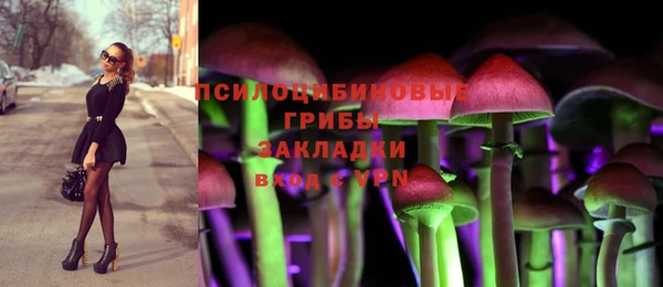 ПСИЛОЦИБИНОВЫЕ ГРИБЫ Мегион