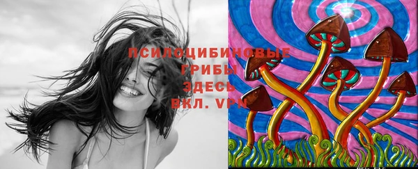 MDMA Медвежьегорск