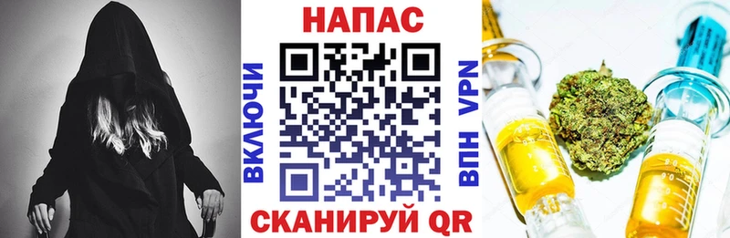 Марихуана сатива купить Карачев